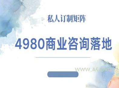 4980商业咨询师落地课程-ip运营高客单教程-小红泡