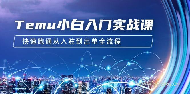 (9295期)Temu小白入门实战课：跨境拼多多电商培训 快速跑通从入驻到出单全流程-12节-小红泡