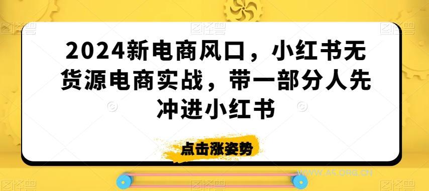 2024新电商风口，小红书无货源电商实战，带一部分人先冲进小红书-小红泡